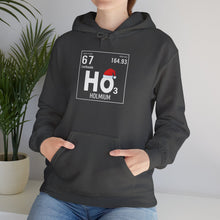 Load image into Gallery viewer, Ho3 Hoodie