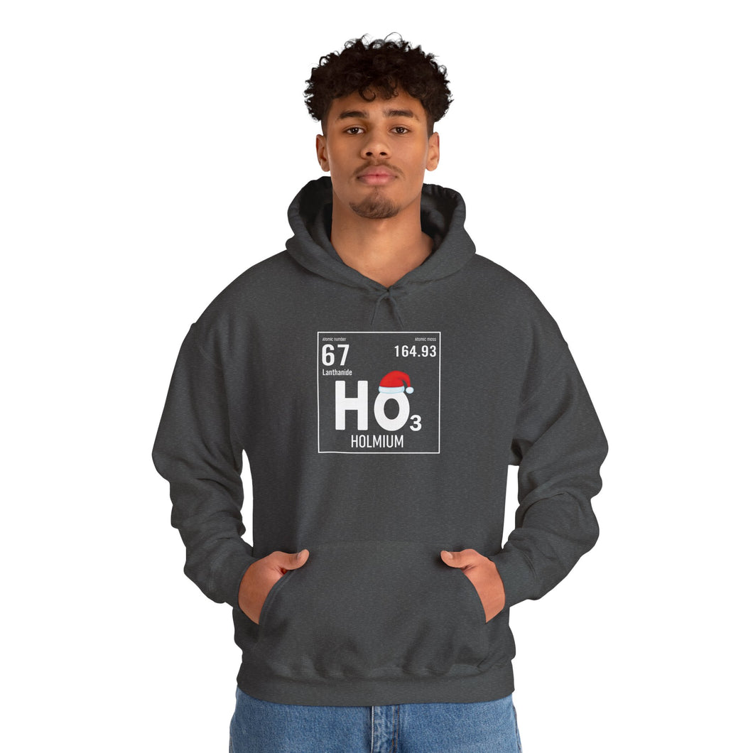 Ho3 Hoodie