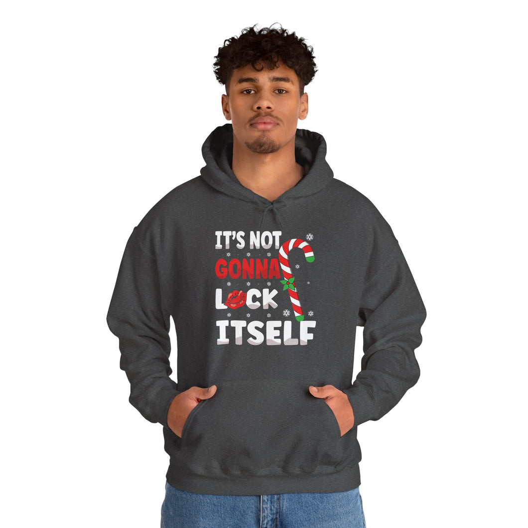It's not gonna lick itself Hoodie