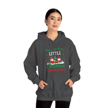 Load image into Gallery viewer, Gnome Christmas Hoodie