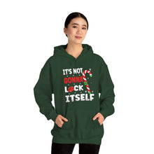 Load image into Gallery viewer, It&#39;s not gonna lick itself Hoodie