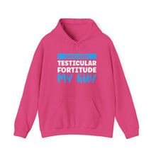 Load image into Gallery viewer, Testicular Fortitude Hoodie