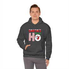 Load image into Gallery viewer, Santa&#39;s Favorite Ho Hoodie