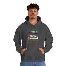 Load image into Gallery viewer, Gnome Christmas Hoodie