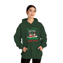 Load image into Gallery viewer, Gnome Christmas Hoodie
