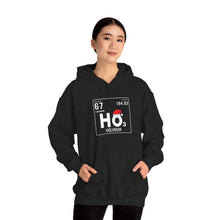 Load image into Gallery viewer, Ho3 Hoodie