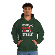 Load image into Gallery viewer, It&#39;s not gonna lick itself Hoodie