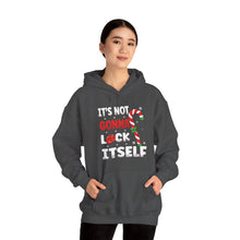 Load image into Gallery viewer, It&#39;s not gonna lick itself Hoodie